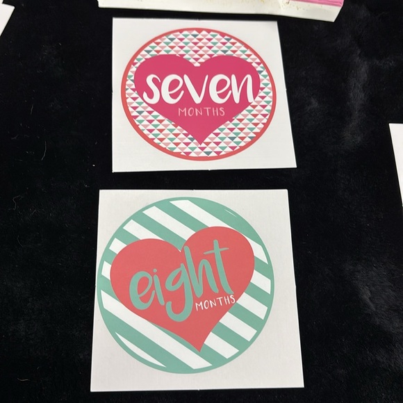 ABG Baby First Year Milestone Stickers 12 Count Infant Girls Precious Memories - Picture 13 of 16